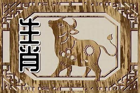 1985 属相|85年属什么生肖 85年最佳婚配属相